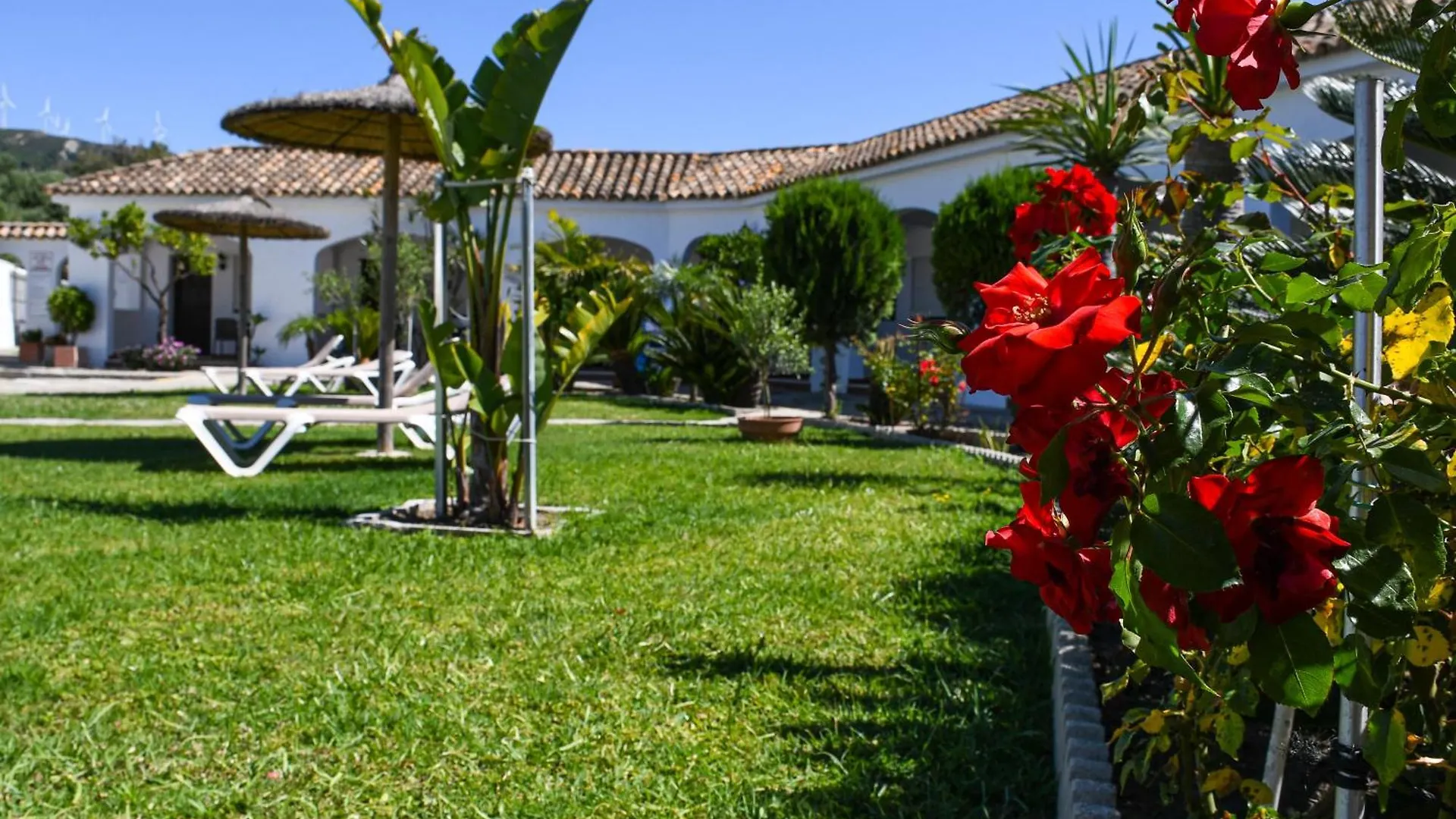 Hotel La Codorniz Tarifa