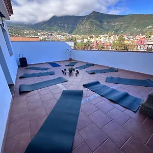 Canary Bio Tenerife Gasthof Los Realejos